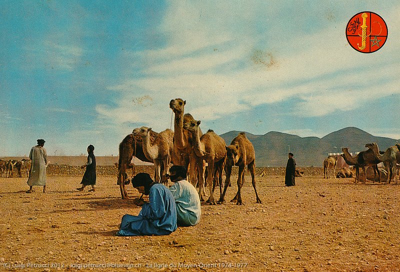 La ligne diu Moyen-Orient de 1974 à 1977
