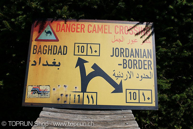 101-camel-104.jpg